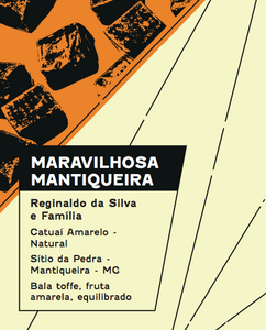 MARAVILHOSA MANTIQUEIRA